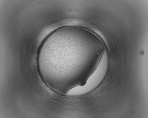 X0000092001464200709201458