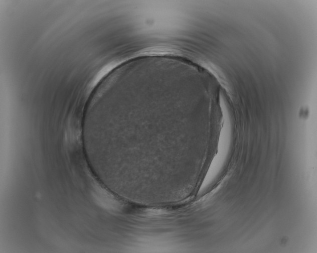 X0000092001465200709201458