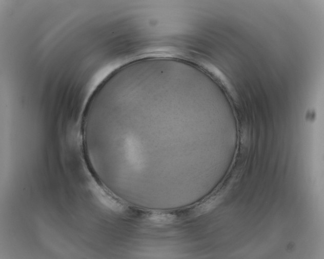 X0000092001466200709201458