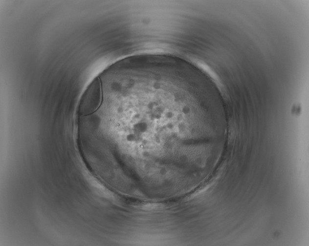 X0000092001467200709201458