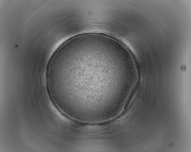 X0000092001468200709201458