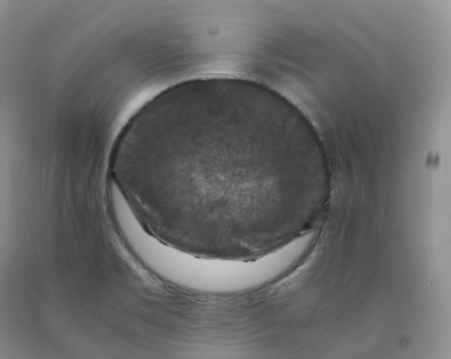 X0000092001469200709201458