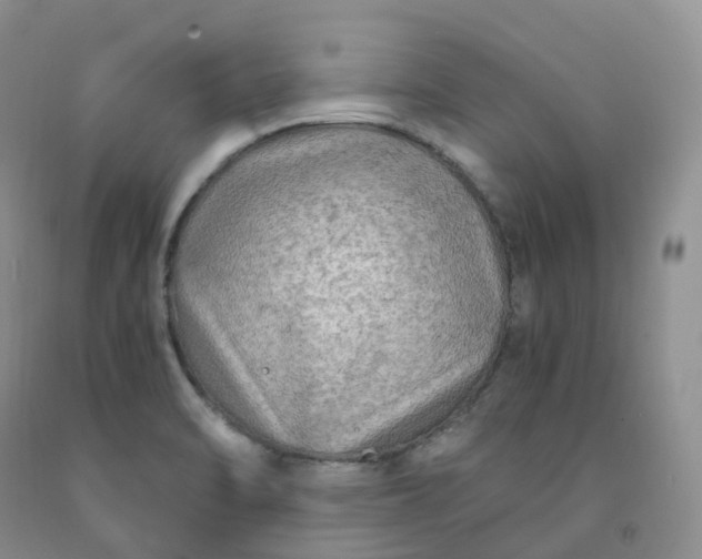 X0000092001470200709201458