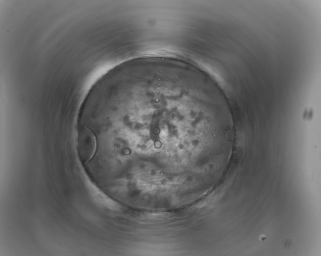 X0000092001471200709201458