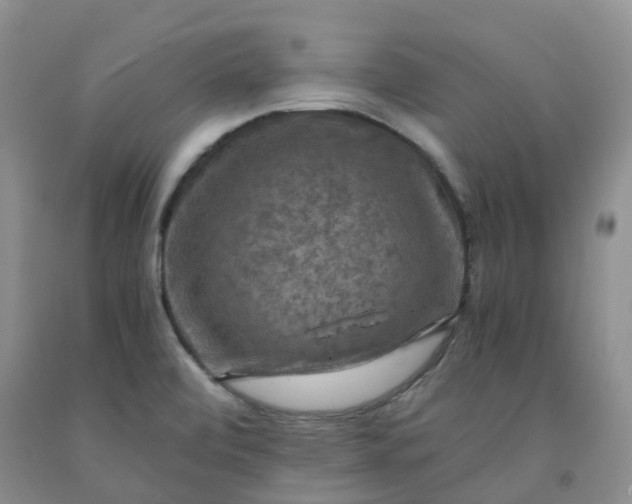 X0000092001472200709201458