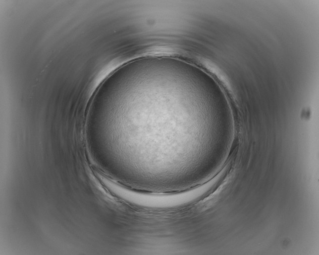 X0000092001473200709201458