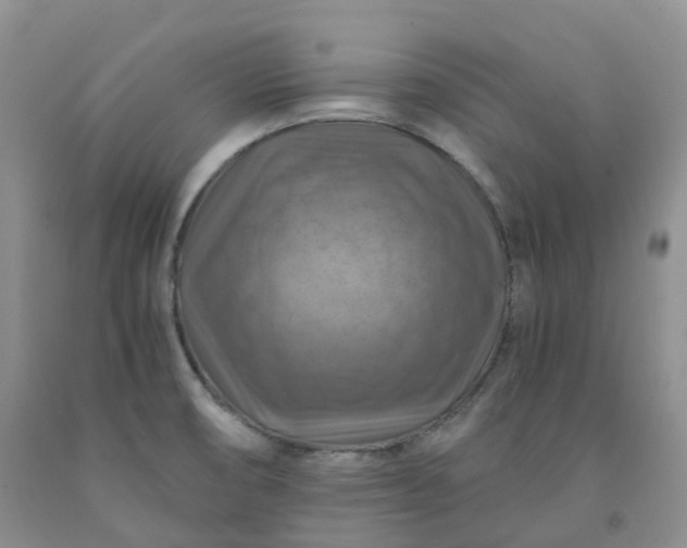 X0000092001474200709201458