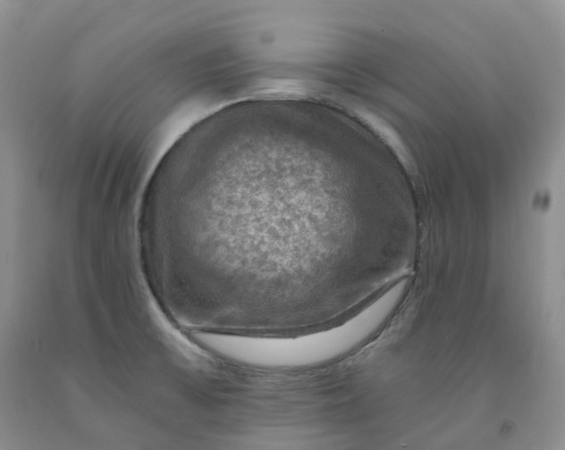 X0000092001475200709201458