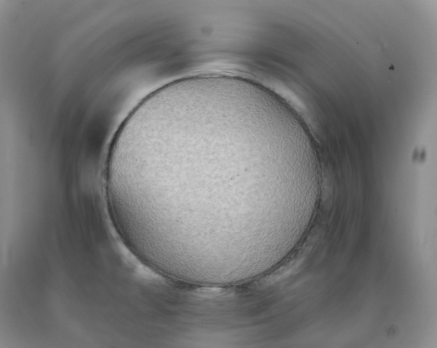 X0000092001478200709201458