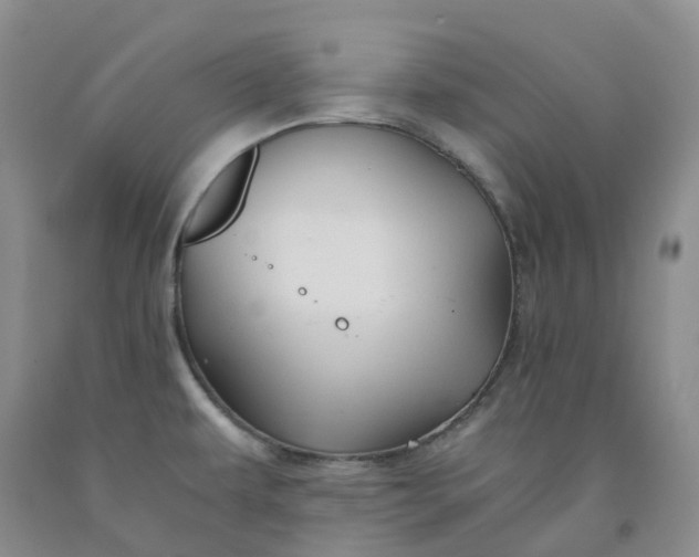 X0000092001479200709201458