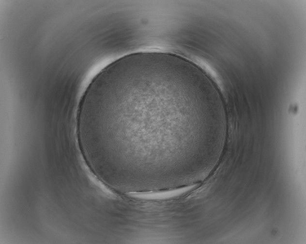 X0000092001480200709201458