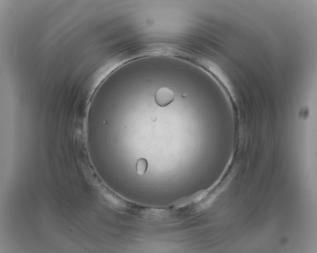 X0000092001481200709201458