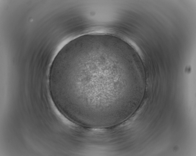 X0000092001483200709201458