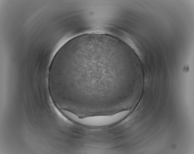 X0000092001484200709201458