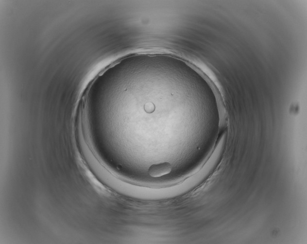 X0000092001485200709201458