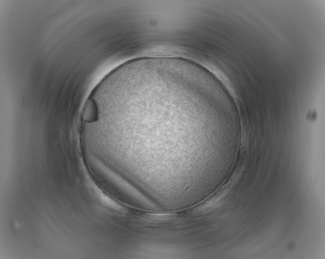 X0000092001486200709201458