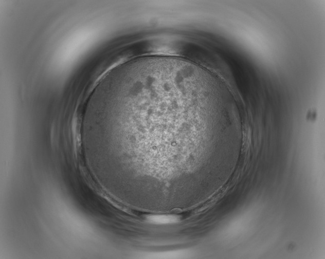 X0000092001487200709201458