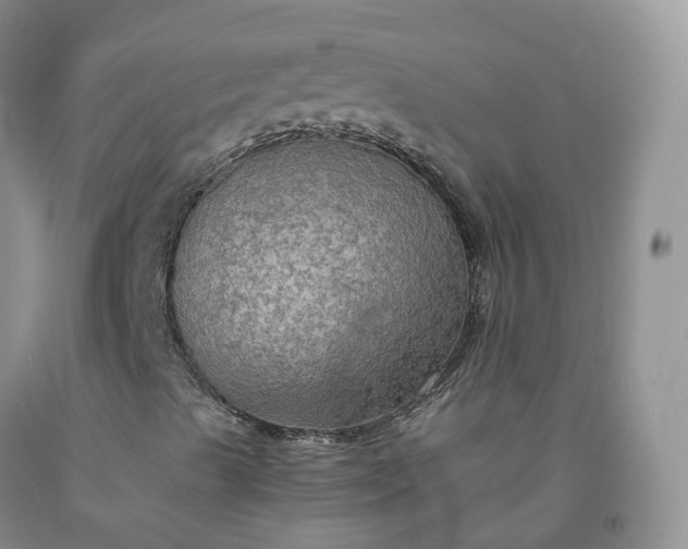 X0000092001489200709201457