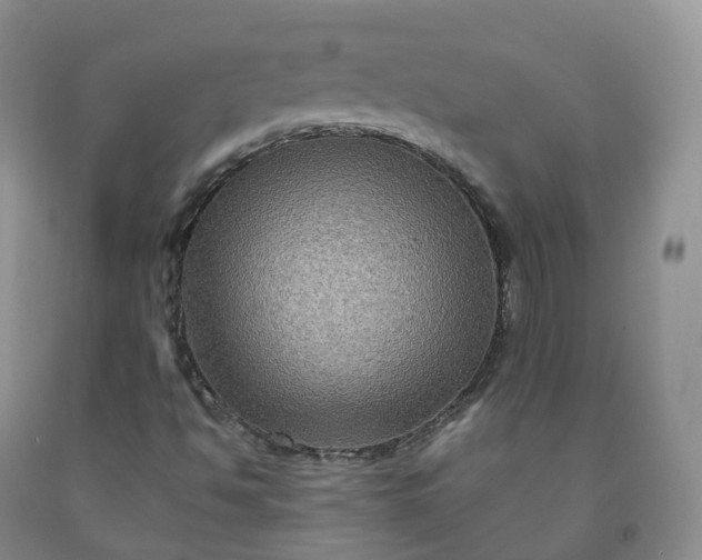 X0000092001494200709201457