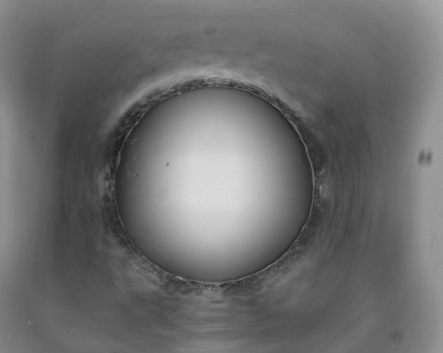 X0000092001495200709201457