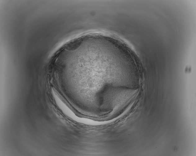 X0000092001496200709201457