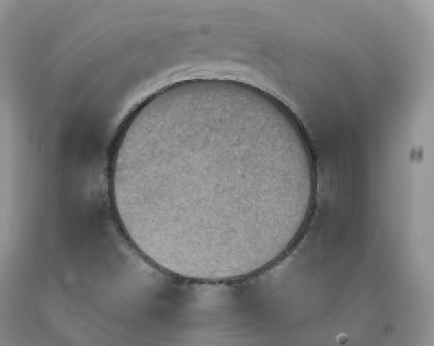 X0000092001498200709201457