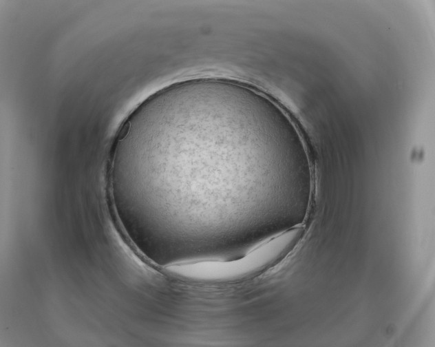 X0000092001500200709201457