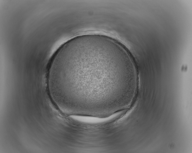 X0000092001501200709201457