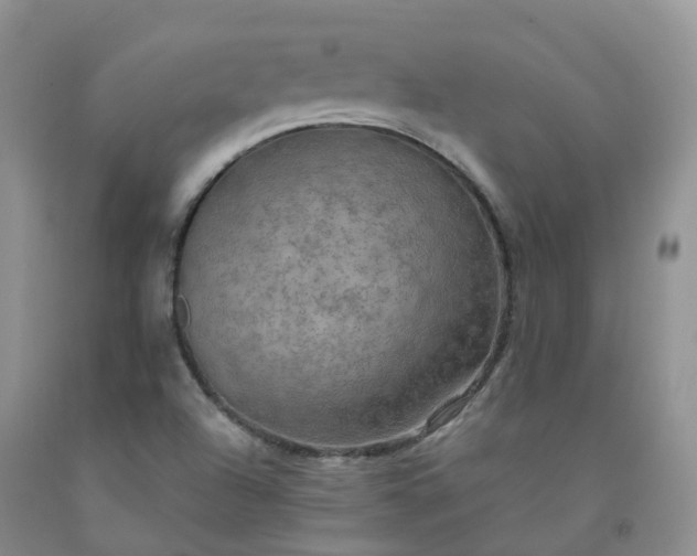 X0000092001504200709201457