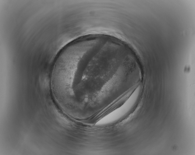 X0000092001505200709201457