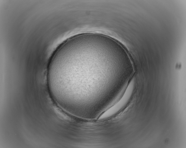 X0000092001507200709201458