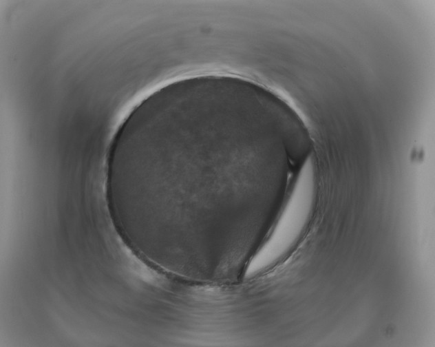 X0000092001508200709201458