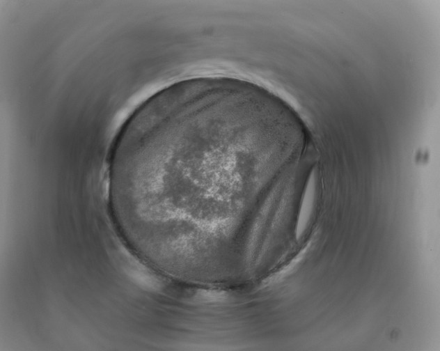 X0000092001509200709201458