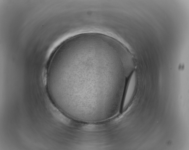 X0000092001510200709201458