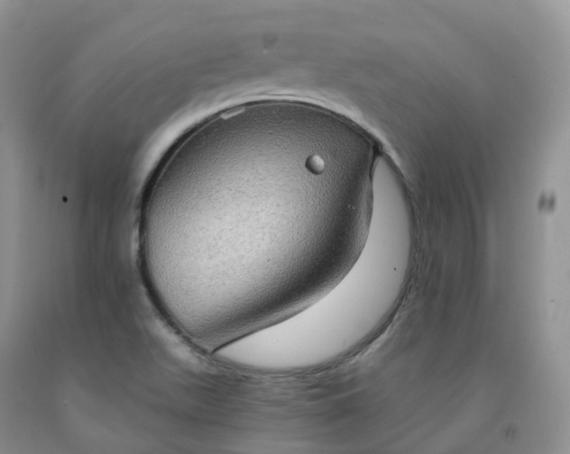 X0000092001511200709201458