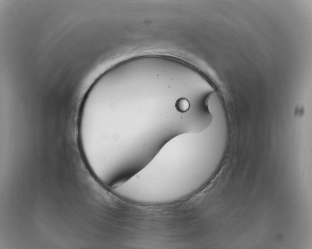 X0000092001512200709201458