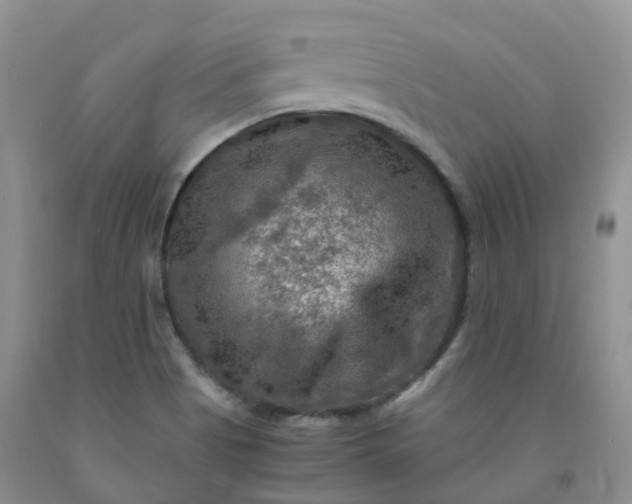 X0000092001513200709201458