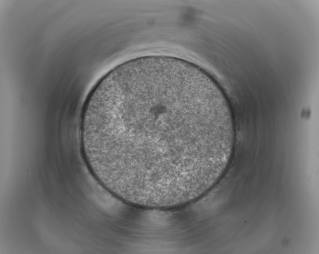 X0000092001514200709201458