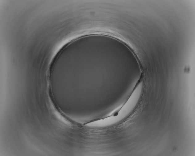 X0000092001515200709201458