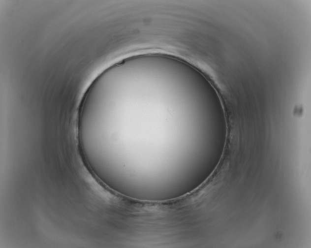 X0000092001516200709201458