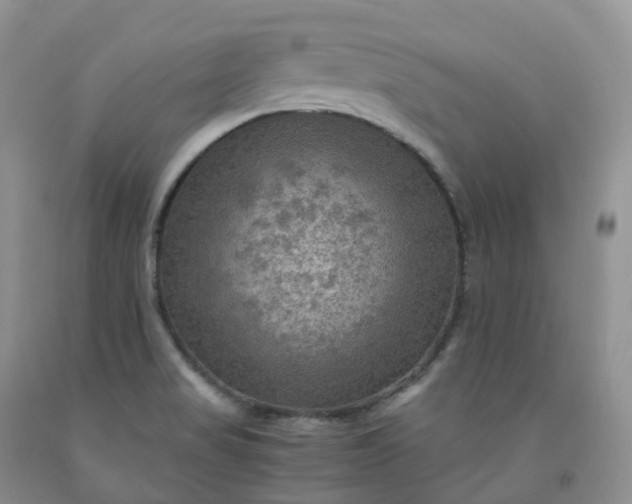 X0000092001517200709201458