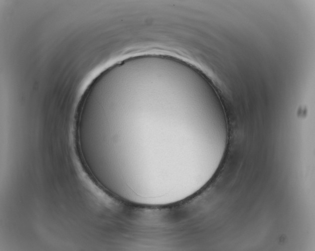 X0000092001518200709201458