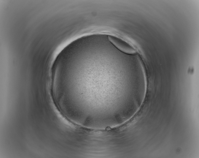 X0000092001520200709201458