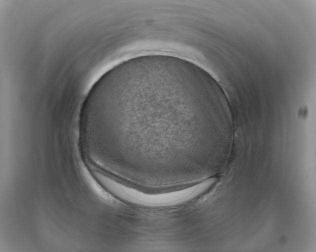 X0000092001523200709201458