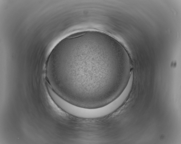 X0000092001524200709201458