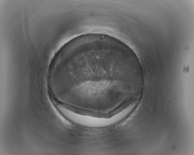 X0000092001525200709201458