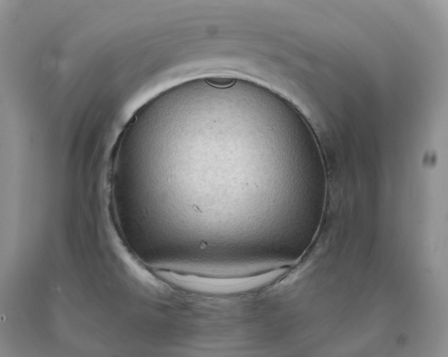 X0000092001526200709201458