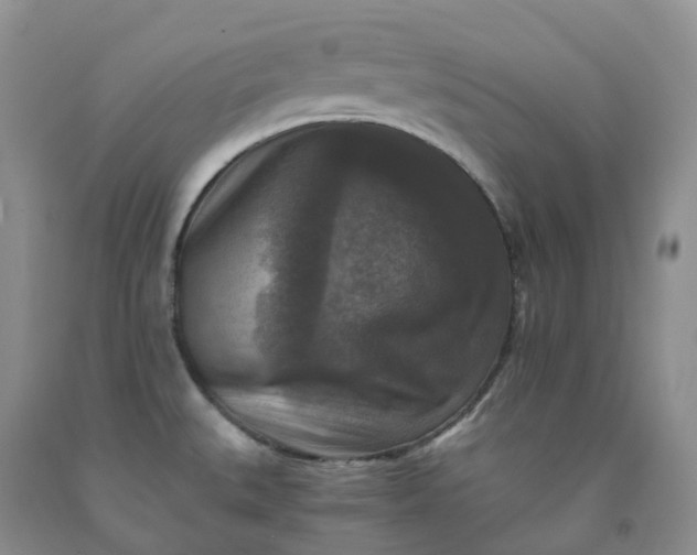 X0000092001527200709201458