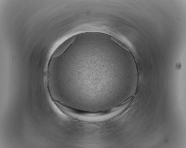 X0000092001528200709201458