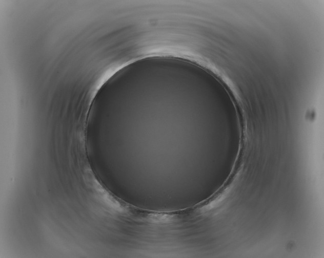 X0000092001529200709201458